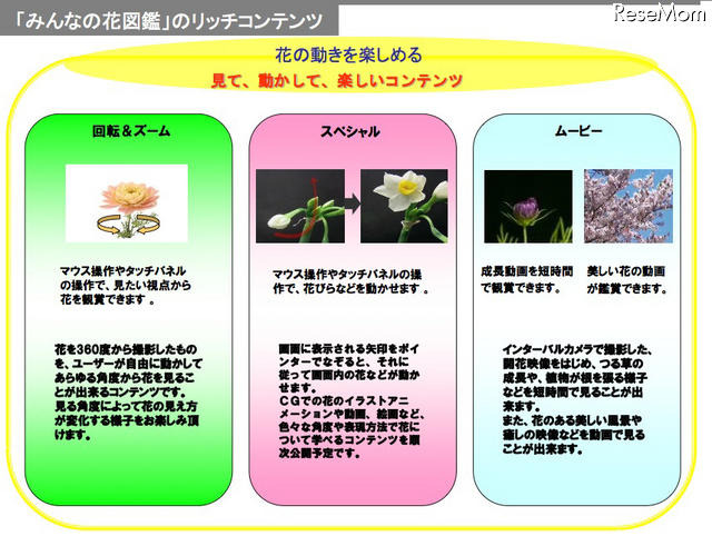 約2,200種を掲載、見て触って楽しめる「みんなの花図鑑」オープン リッチコンテンツ