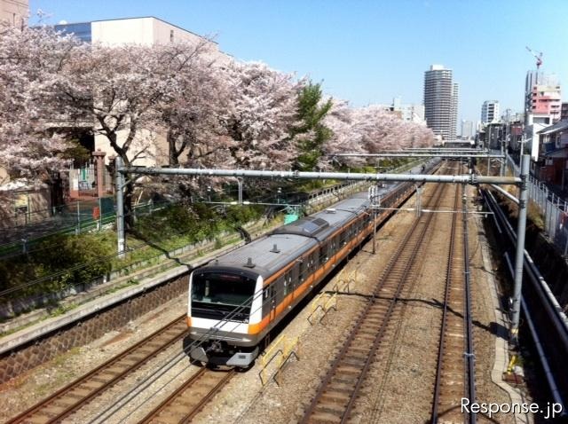 東京の桜の名所のひとつ。JR中央線東中野駅西方