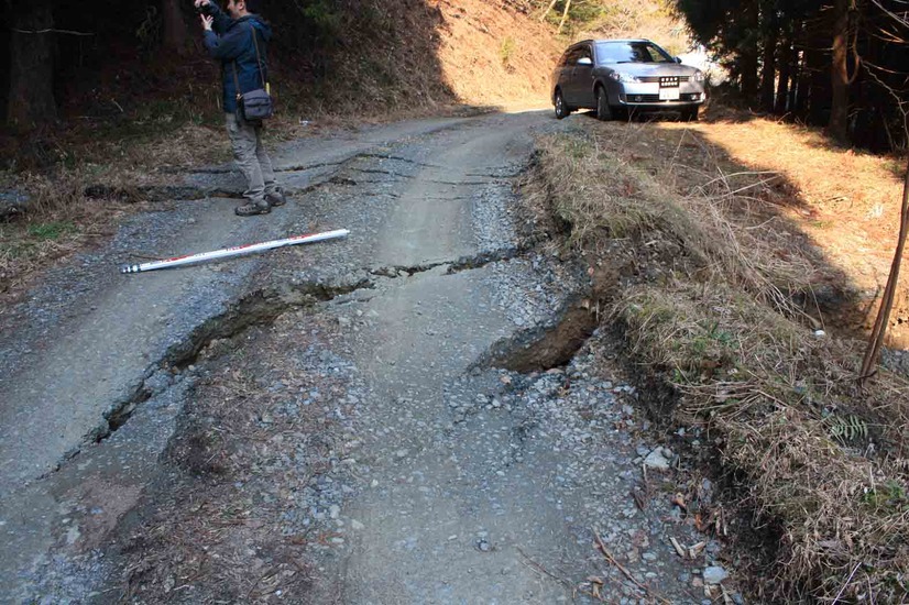  いわき市遠野町綱木。林道の路面を切る地表地震断層。亀裂が著しく雁行する。（東京大学地震研究所）