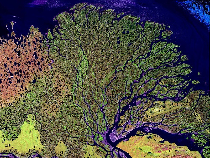 ロシア シベリア東部のイルクーツク州とサハ共和国を流れるレナ川の衛星写真（c）NASA