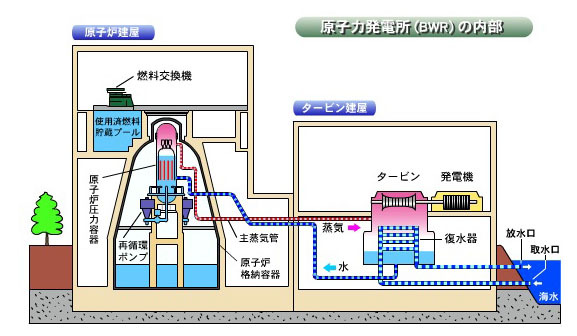 原子力発電所の内部