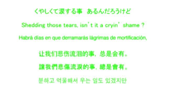 日本語、英語、スペイン語、中国語、台湾語、韓国語という5言語で歌詞も表示。ダウンロードもできる