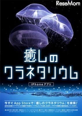 クラゲをモチーフにした無料iPhoneアプリ「くらげ時計」 癒しのクラネタリウム