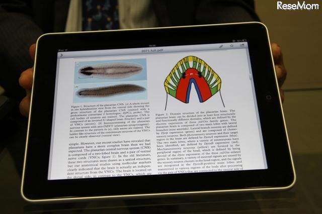 iPadを積極活用、実社会で活躍できる人材を育てる広尾学園 PubMed