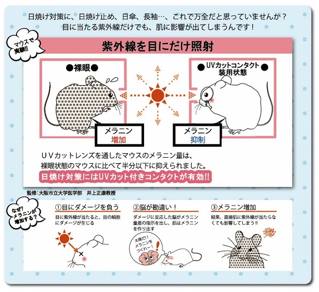 目に紫外線があたると、肌にも影響が出る仕組み