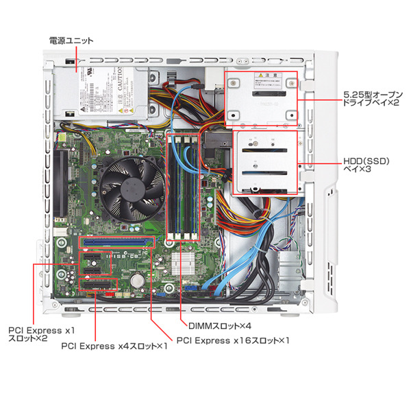 本体側面