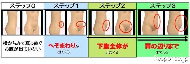 加齢によるおなかの形が変化する法則。変化は大きく分けて3段階