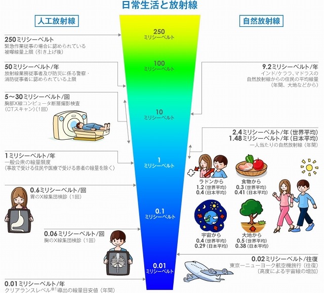 放射線に関する解説図も掲載