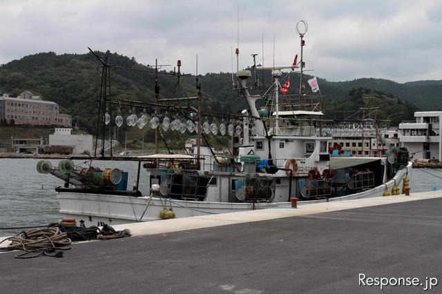 7月より業務を再開した女川魚市場。地盤沈下した岸壁をかさ上げしたために、建物が地下に埋もれる形になった