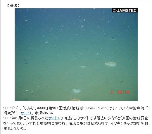 【参考】2006年6月撮影の同海域の海底写真。亀裂は見られない