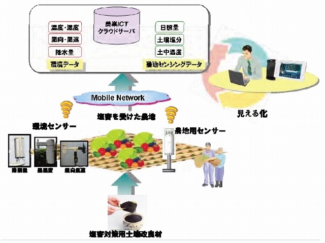 塩害を受けた農地への観測センサーの設置イメージ