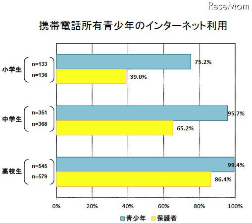 携帯電話所有青少年のインターネット利用