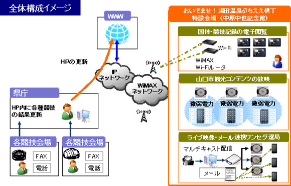 実験のイメージ図（全体構成）