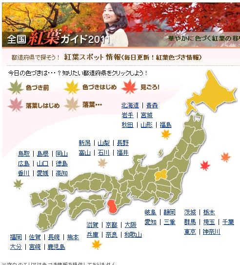 都道府県別の紅葉色づき具合がひと目でわかるマップも掲載