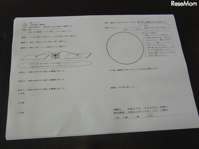 授業で配布されたプリント