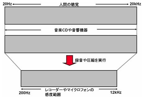 人間の可聴域（録音や圧縮を行うと、聴取可能な音波帯域は狭くなる）