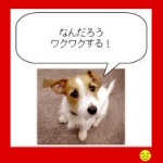 ケータイが人間と犬の橋渡しに。ボーダフォンが「バウリンガル コネクト」を12月上旬より開始