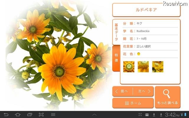 みんなの花図鑑vol.3接写編