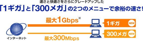回線速度最大1Gbps