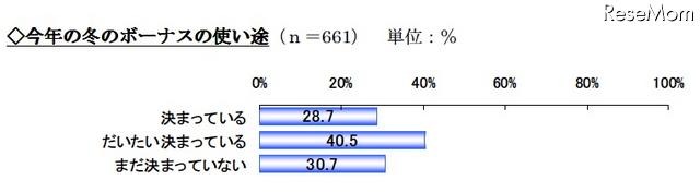 今年の冬のボーナスの使い途