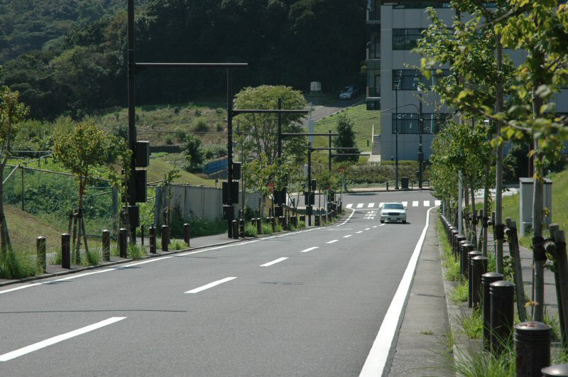 もうひとつの基地局はYRP敷地内の道路にある。1本のポール（写真奥から2本目）に基地局とアンテナを設置している。丘陵地なので、かなり勾配があることがわかる