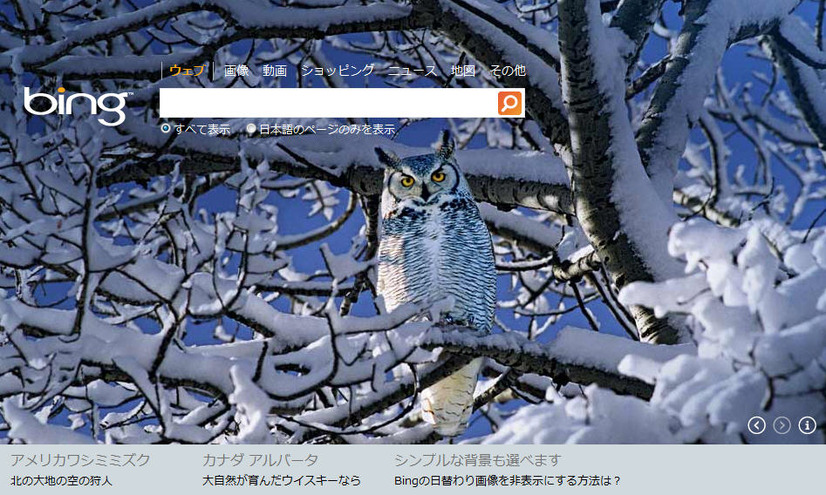Bing