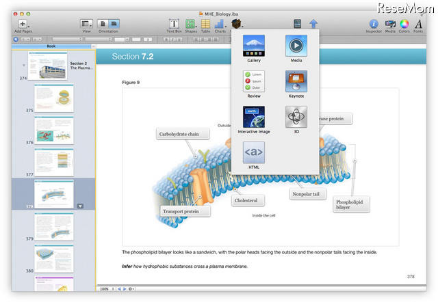 iBooks Author