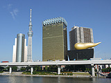 隅田公園から見た東京スカイツリー