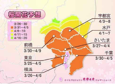 関東の開花予想