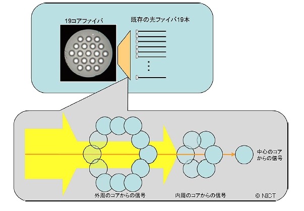 今回用いた結合装置の概要（イメージ図）