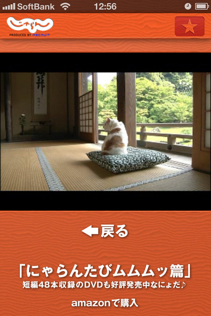 期間限定で公開されているという「にゃらん動画」