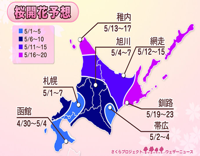 北海道の開花予想