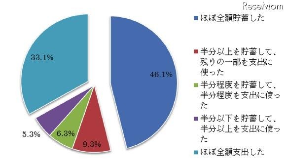 子ども手当の使用状況