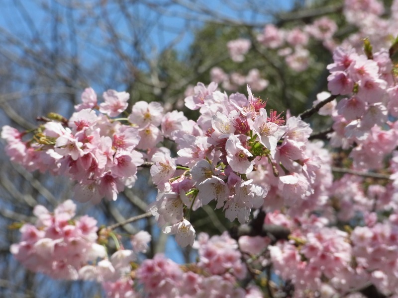 上野公園