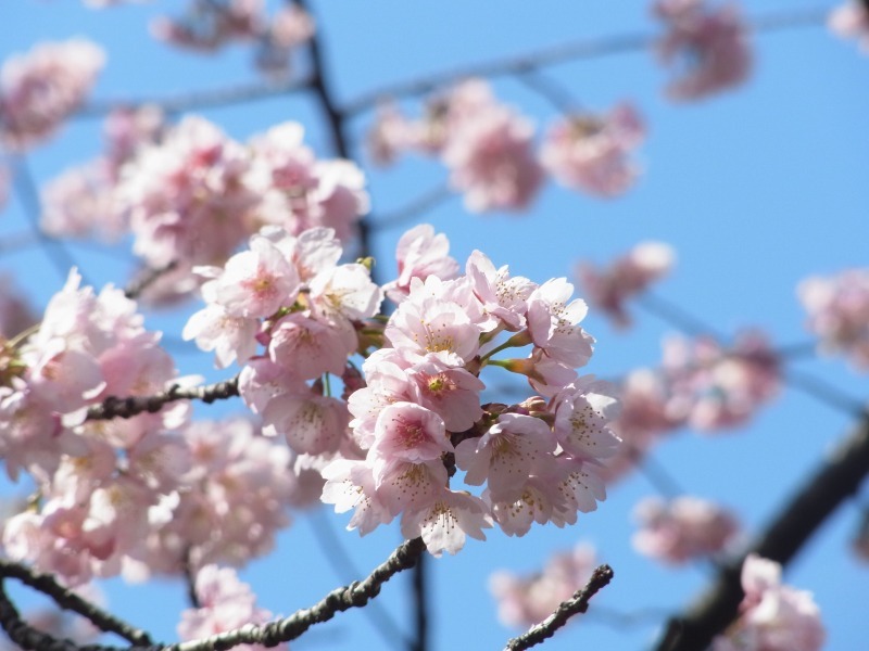 上野公園