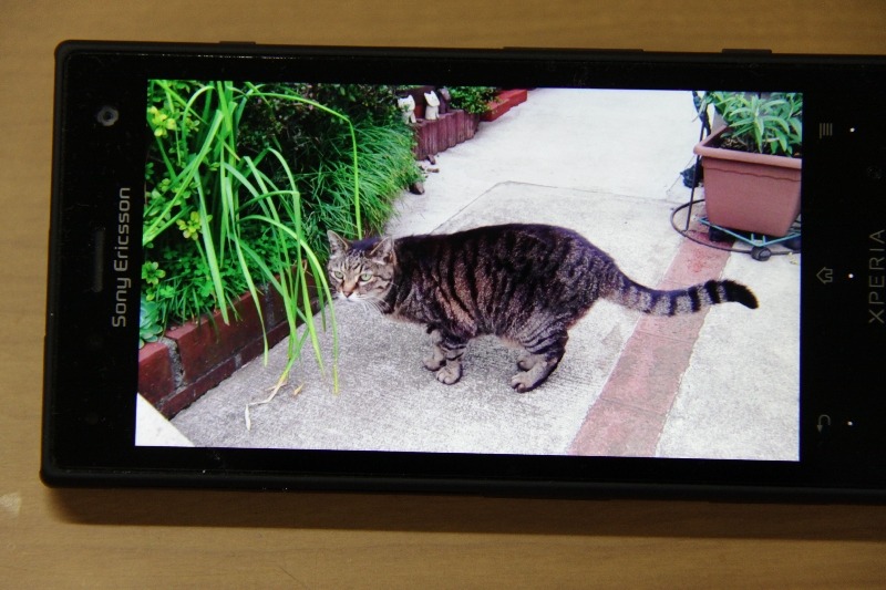 本体カメラで撮影した動画の視聴