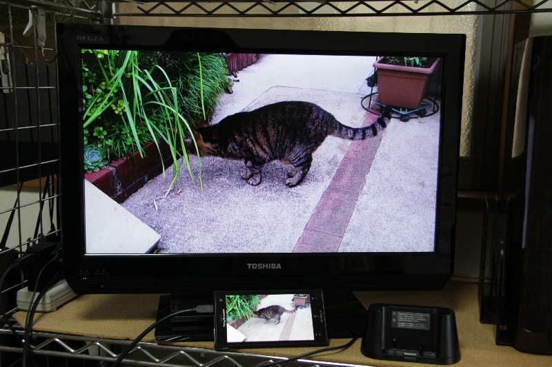 19型の液晶テレビに接続して動画を再生。