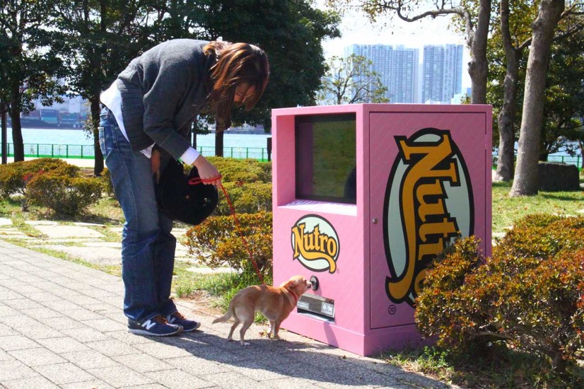 小型犬が自動販売機でサンプリング商品を出すようす