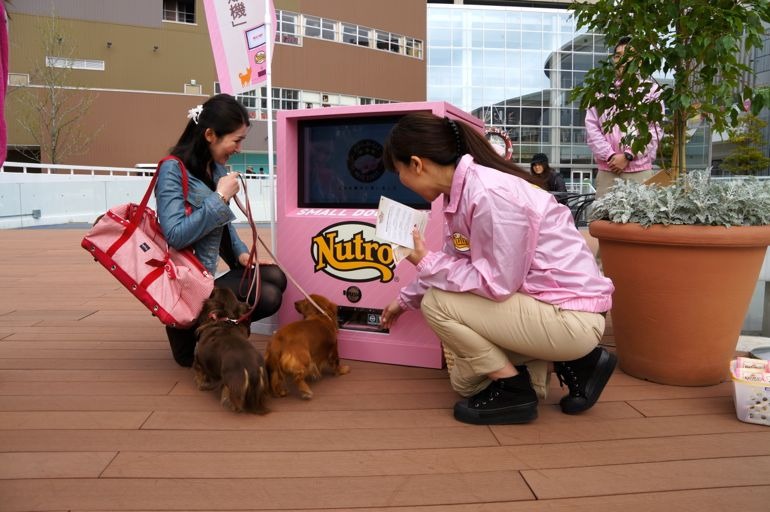 小型犬専用 の自動販売機 ららぽーと豊洲に登場 ワンちゃん達の反応は 13枚目の写真 画像 Rbb Today