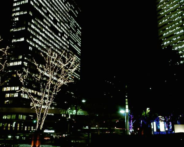 会社の近くで撮影した画像