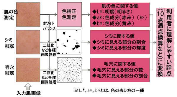 測定項目