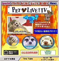 かわいい動物たちの様子をSo-net TVがライブ配信〜ミーアキャット、フェレット、コモンリスザル、etc.