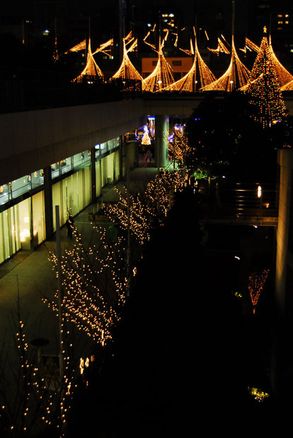 今週はクリスマス企画で行こう、となりました。当方も若い女子。でも、クリスマスの朝の、燃えたぎるような熱情が消え失せた身としては、やや盛り上がりを欠けてます。こんなではいけない！クリスマス一色の街に飛び出して感化されてこよう！