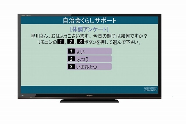 高齢者宅：「体調アンケート」（イメージ）