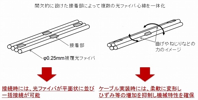 高密度実装と一括接続が可能な間欠接着型光ファイバテープ