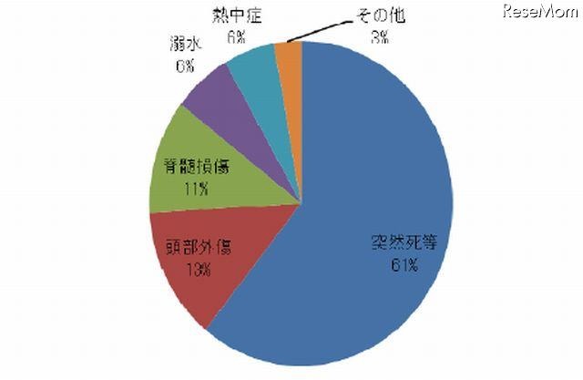 死亡・重度の障害事故（傷病別割合）グラフ