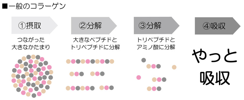 一般のコラーゲンの吸収イメージ