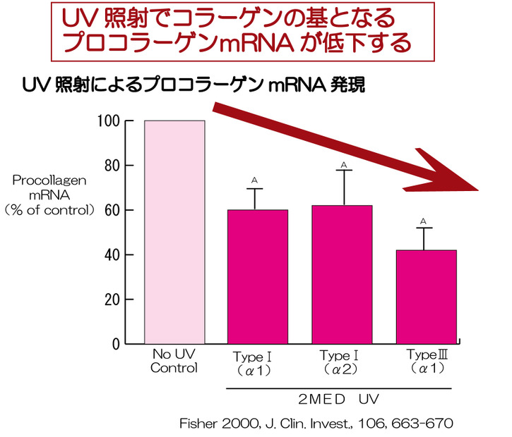 紫外線の影響