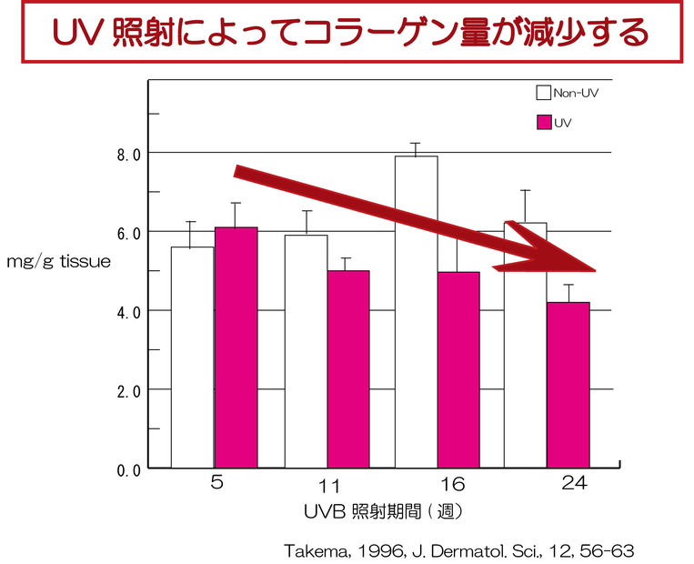 紫外線の影響
