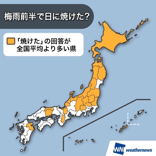 梅雨前半、日に焼けた？